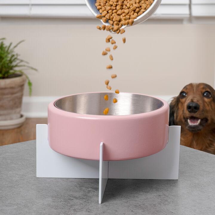 Intersecta Concrete and Stainless Steel Bowl 16oz (2 Cups) with Metal Stand Pet Feeder