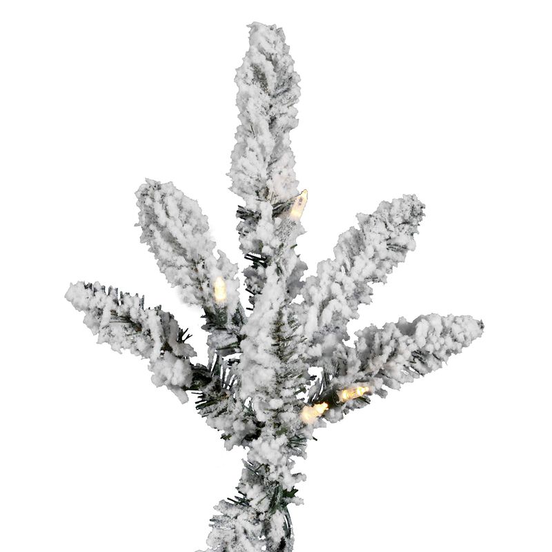Vickerman Flocked Utica mWht - image number 2