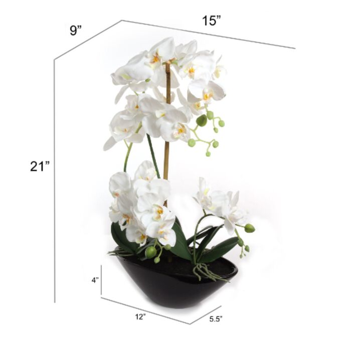 Artificial 21" Phalaenopsis Orchid in Black Vase - Lifelike Silk Flower Arrangement - Elegant Home Decor & Gift - Easy Maintenance