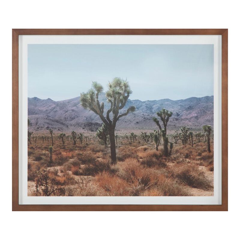 Moe’s Desert Land Framed Print
