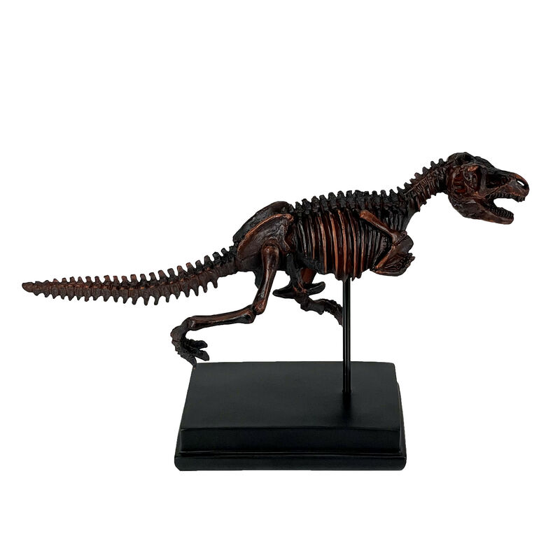Tyrannosaurus Rex Skeleton Statue T-Rex on Museum Mount image number 0