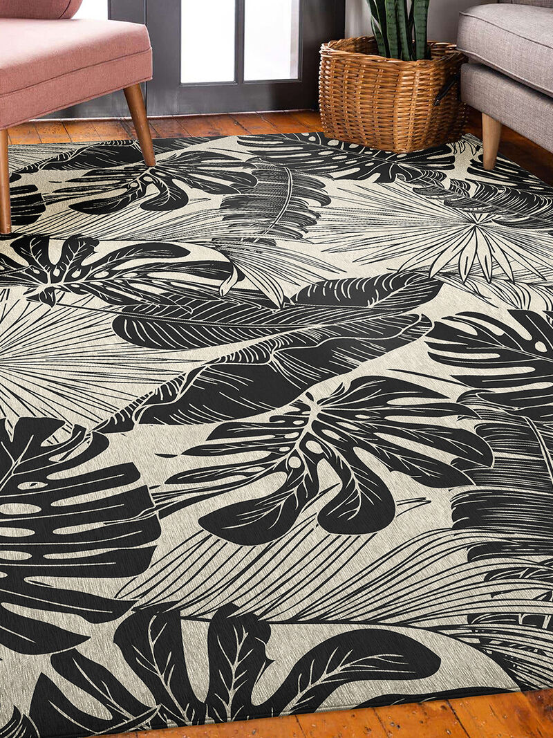 Tropics TC16 Collection