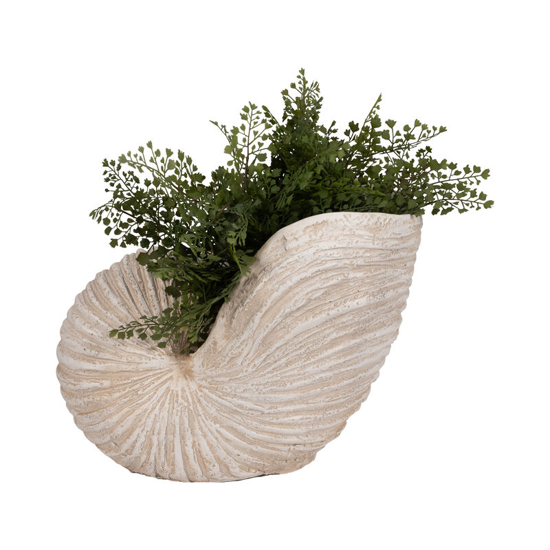 18" Shell Sculpture, Ivory image number 1