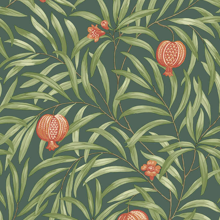 Elena Green Pomegranate Wallpaper