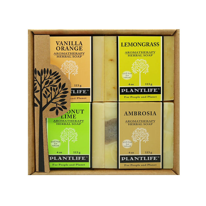 Plantlife Gift Set Soap 4 Pack - Fruit image number 0