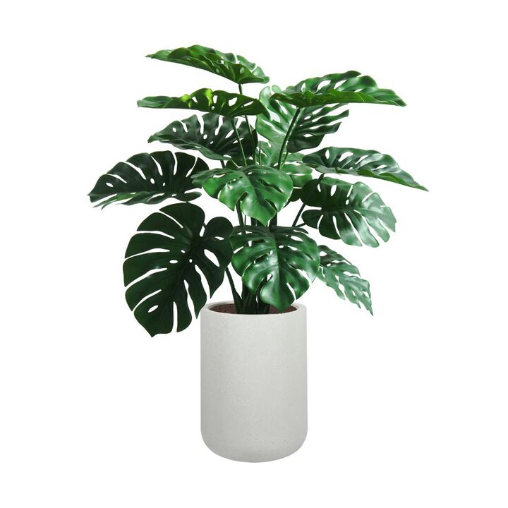 4' Monstera Plant in Modern Gray Planter