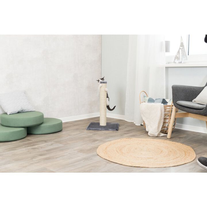 TRIXIE Parla Sisal Cat Scratching Post with Plush Base