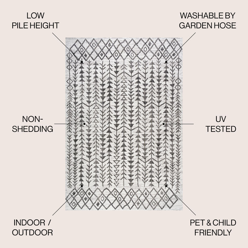 Tokay Bohemian Geometric Indoor/Outdoor Area Rug