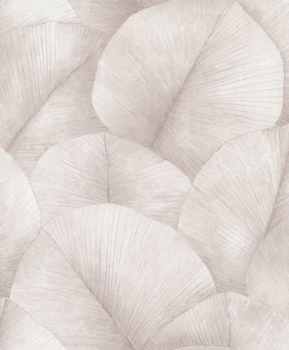 Kumano Palm Leaf Pink Wallpaper 34511
