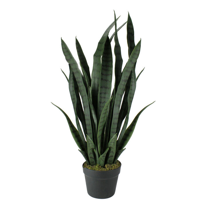 29" Potted Two Tone Green and Black Artificial Snake Plant