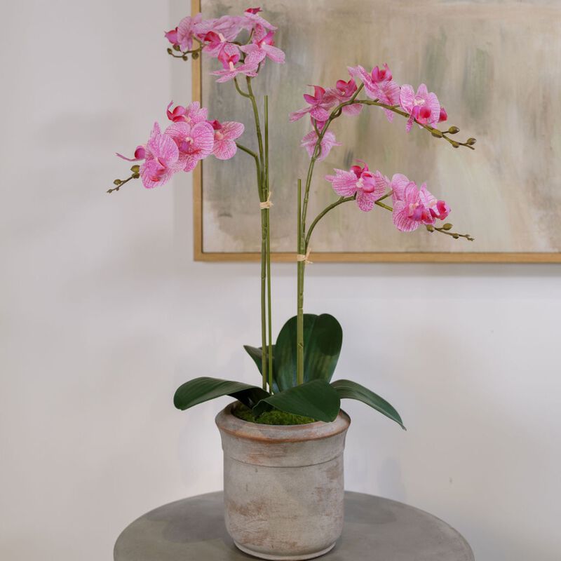 Artificial 2-Stem Phalaenopsis Pink Orchid image number 1