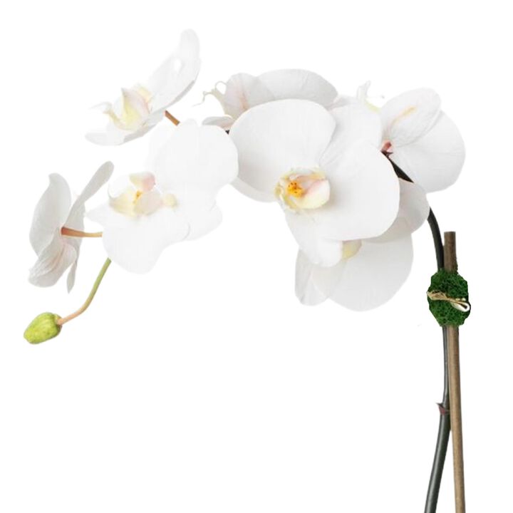Artificial White Orchid Centerpiece Arrangement In Beige Planter - 28"
