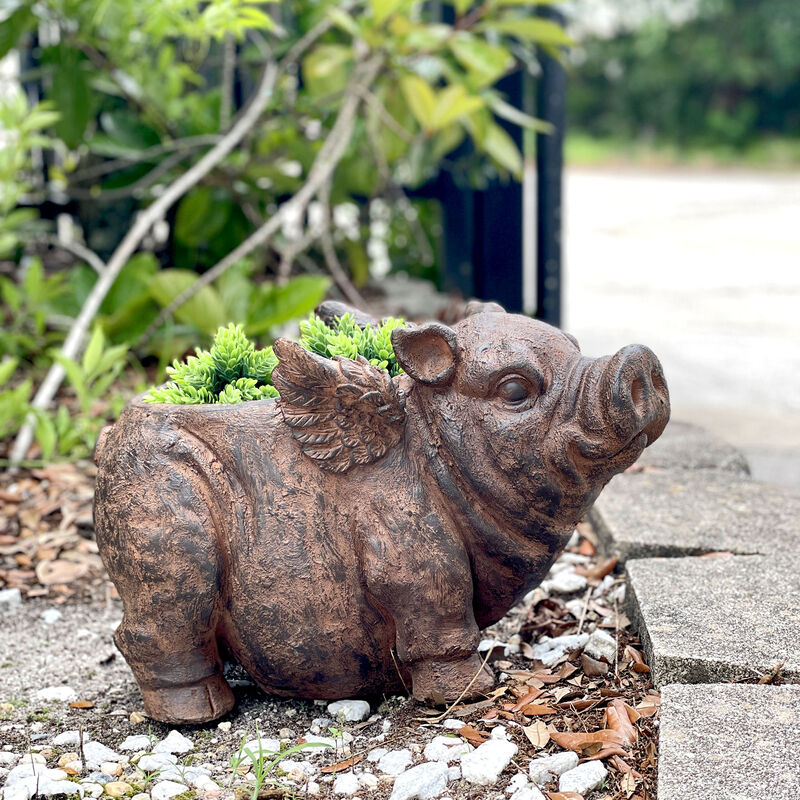 Flying Pig Planter 17" Brown, With Drain Hole, Rustic Indoor Outdoor Decor image number 6