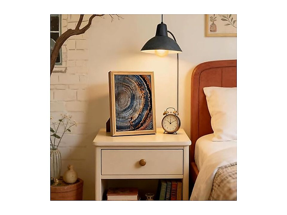 Framed Tree Ring Canvas Wall Art Vintage Colorful Wood Stump Modern Minimalist