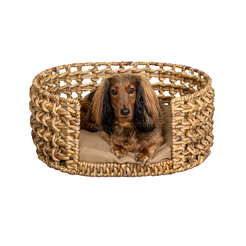 Gigi Modern Bohemian Handwoven Hyacinth Open-Weave Oval Pet Bed with Machine-Washable Cushion