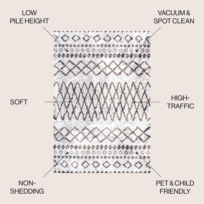 Aksil Moroccan Diamond Area Rug