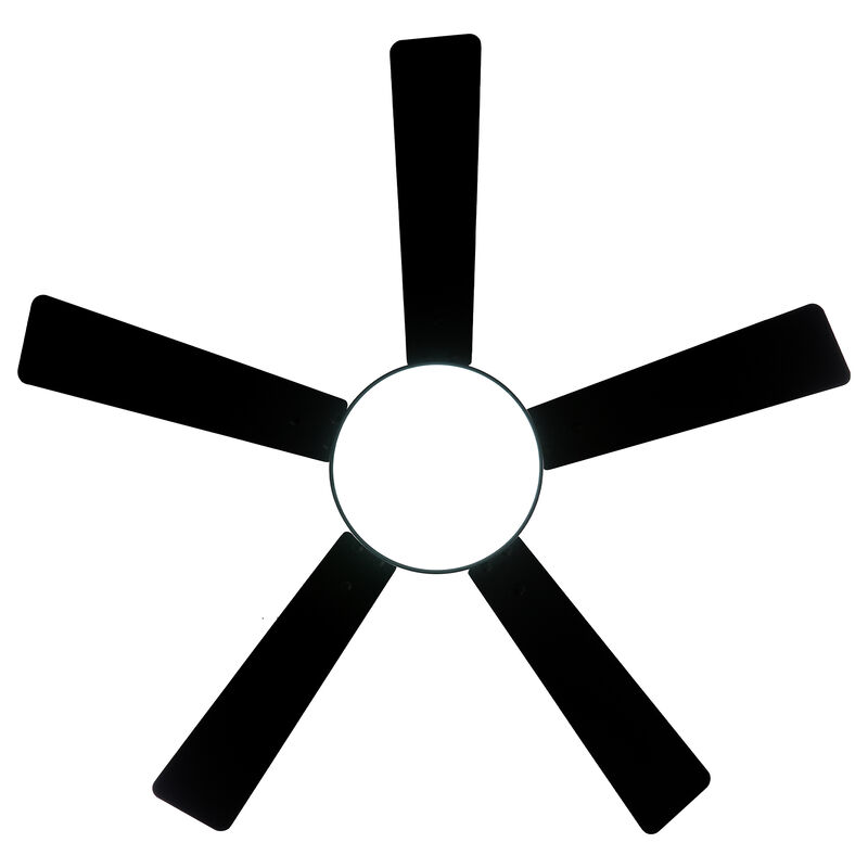 52" Modern Matte Black Dimmable Reversible Low Profile Flush Mount Smart Ceiling Fan with Light, APP Control and Remote image number 7