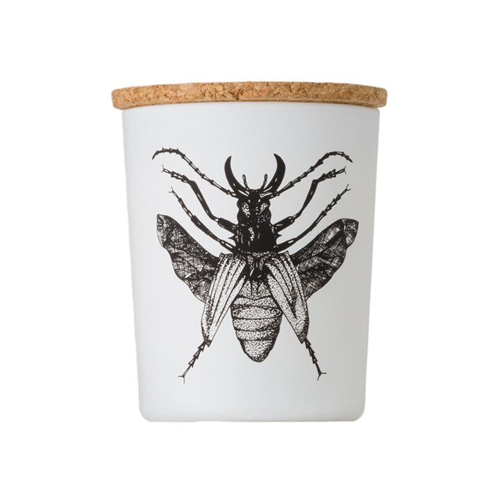Candle in Jar INSECT 190gr DORYSTHENES WALKERI 3.35 diam. x 4.13 in