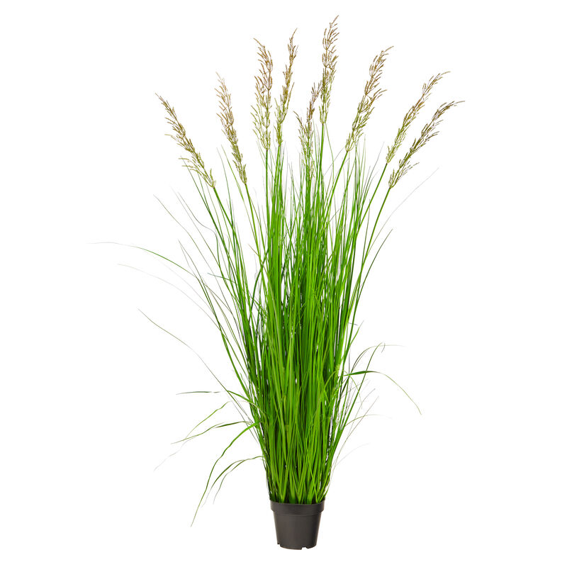 Hivvago 5.5" Plum Grass Artificial Plant - Green