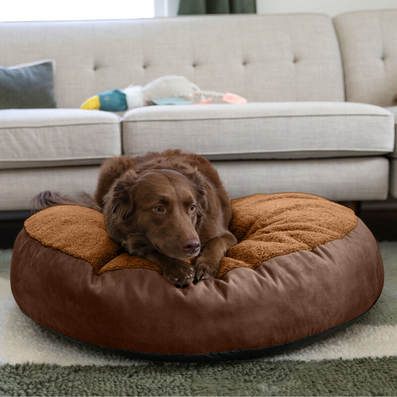 Jaxx Robbi Round Pet Bed, Medium - Caramel & Chocolate