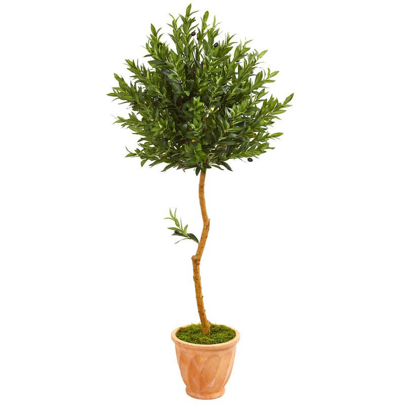 Hivvago 63 Inches Olive Topiary Artificial Tree in Terra Cotta Planter UV Resistant (Indoor/Outdoor)