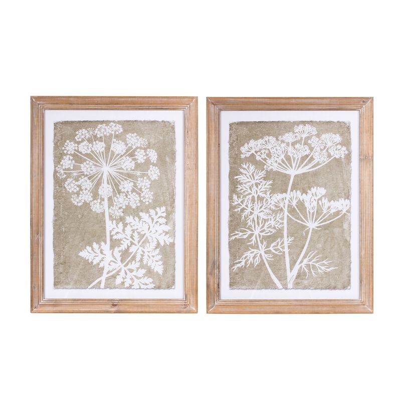Framed Queen Anne's Lace And Fern Wall Art (Set of 2)