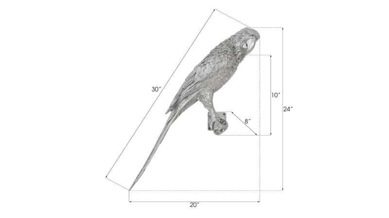 Parrot Looking Right Wall Art