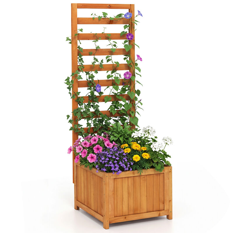 Wooden Raised Garden Bed with Built-In Trellis and Drainage Holes-Natural image number 0