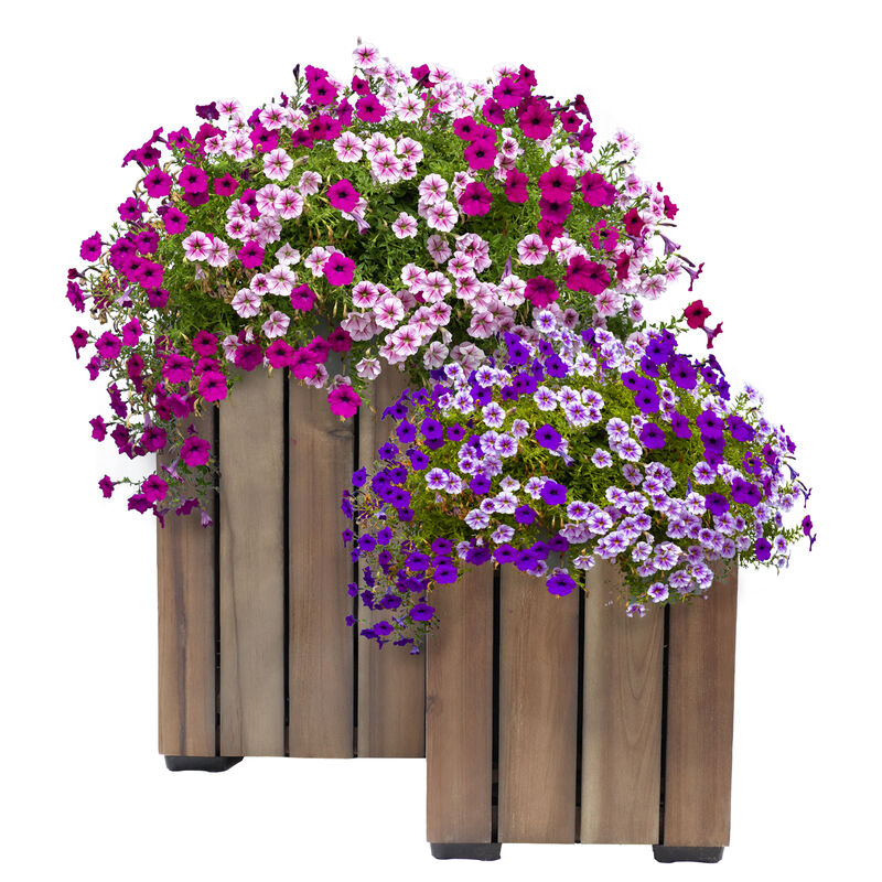 Sunnydaze 2-Piece Acacia Square Planter Boxes with Liners