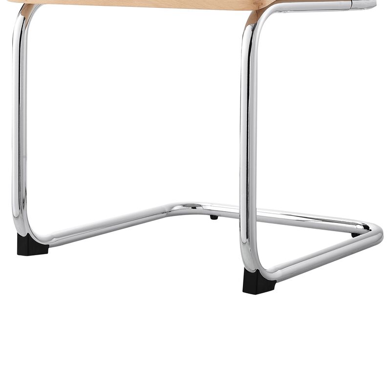 Loft Lyfe Ericka  Dining Chair (Set of 2)