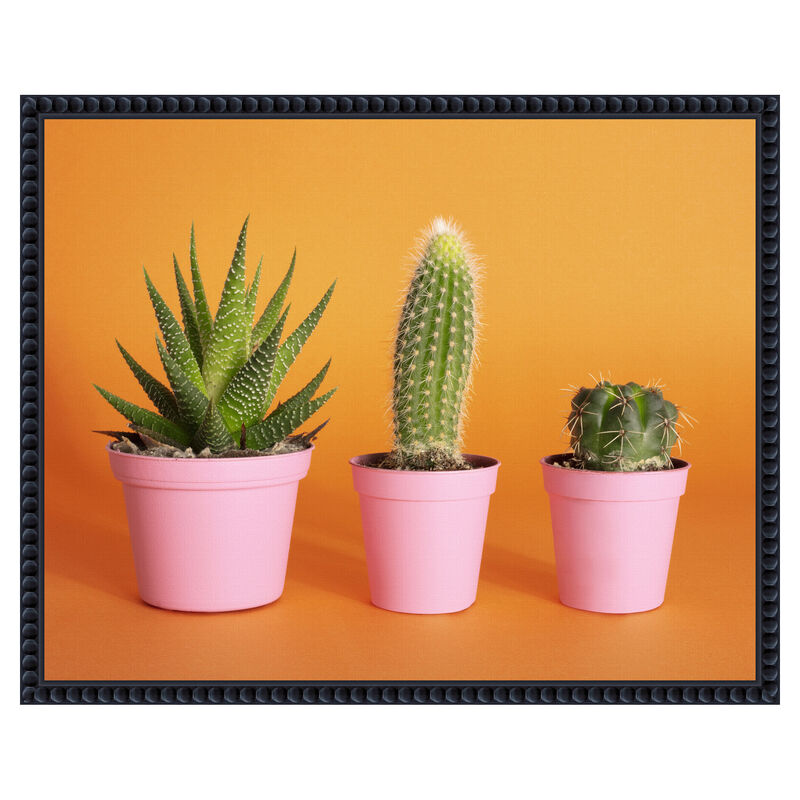 Cactus.2 by Julia Ramiro Framed Canvas Wall Art image number 0