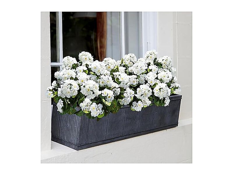 Artificial Geranium Fake Flowers Outdoors Decor 6 Bundles Silk Geraniums White image number 2