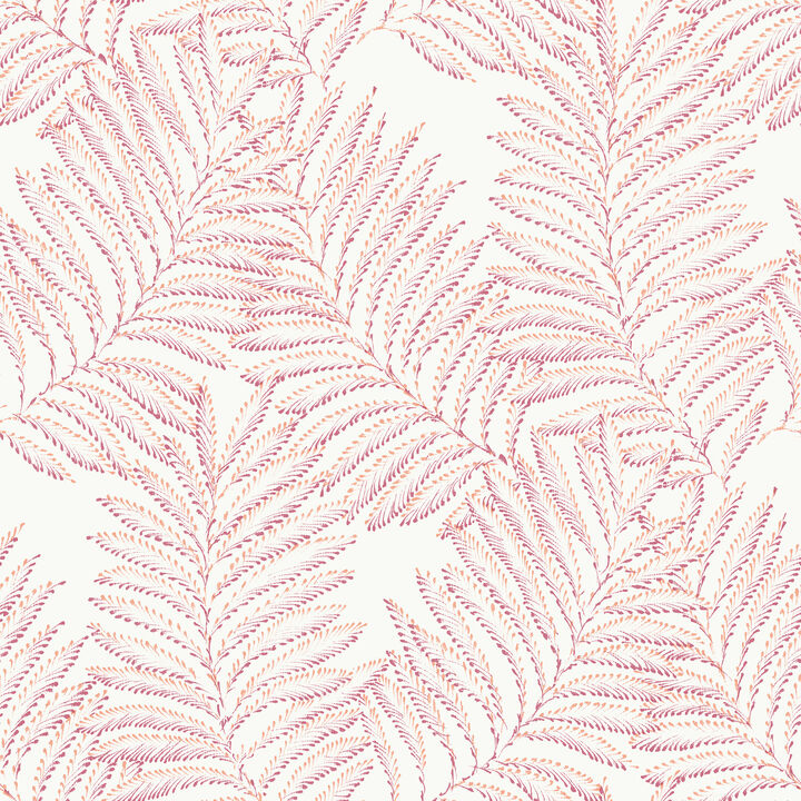 Finnley Pink Inked Fern Wallpaper