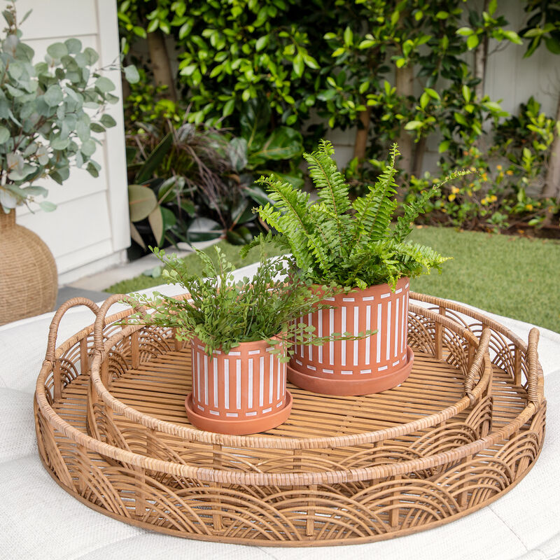Terracotta Planters with Saucer, Orange Set
