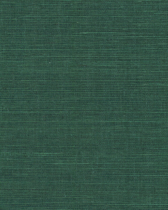Maguey Sisal Forest Wallpaper