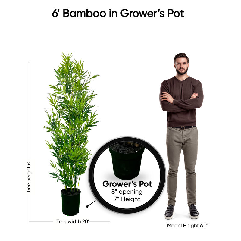 6' Realistic Artificial Bamboo Plant In Home Basics Starter Pot for Home Décor or Office