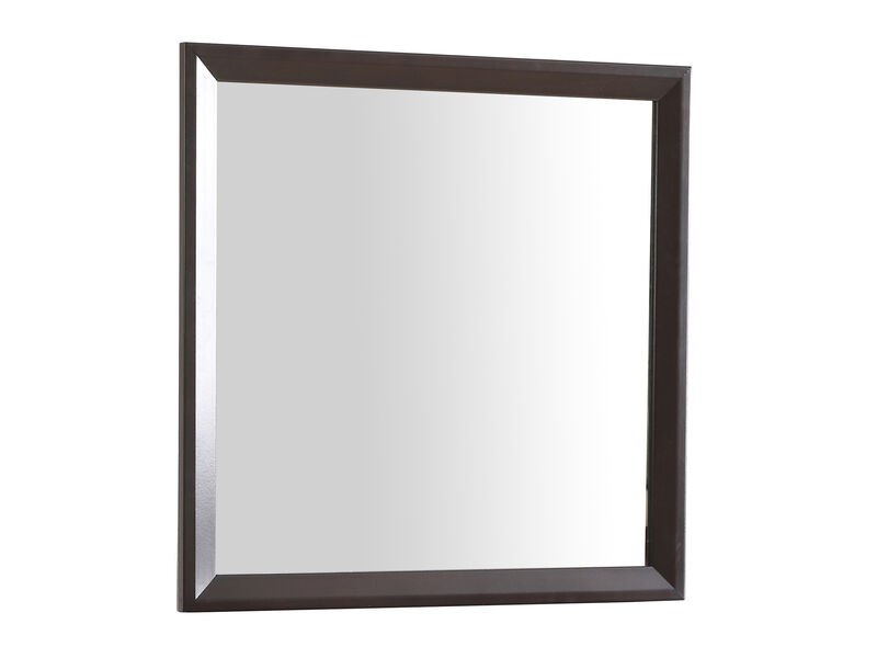 36 in. x 36 in. Classic Square Framed Dresser Mirror.