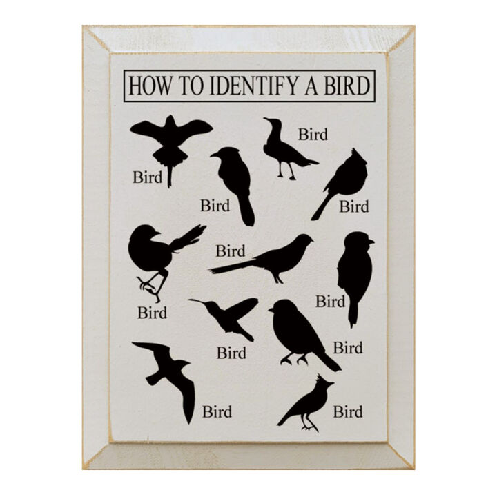 Bird Identification Chart Wall Decor From Solid Knotty Pine