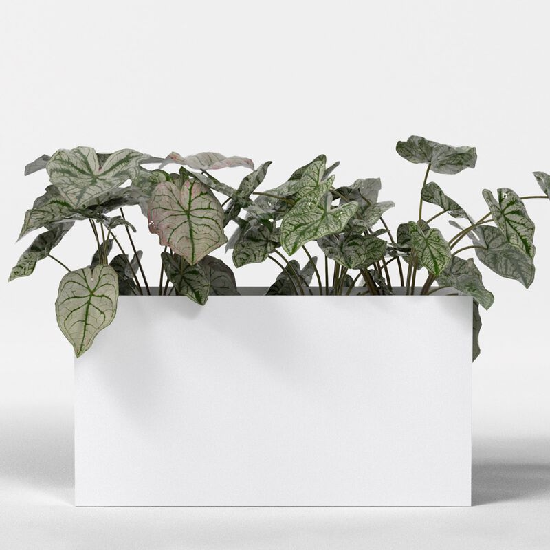 Greenline Fiberglass Leo Extra Large Indoor/Outdoor Rectangle Planter.