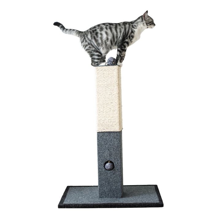 Catry Minimalist Natural Sisal Cat Scratching Post with Peek-a-Boo Ball Toy