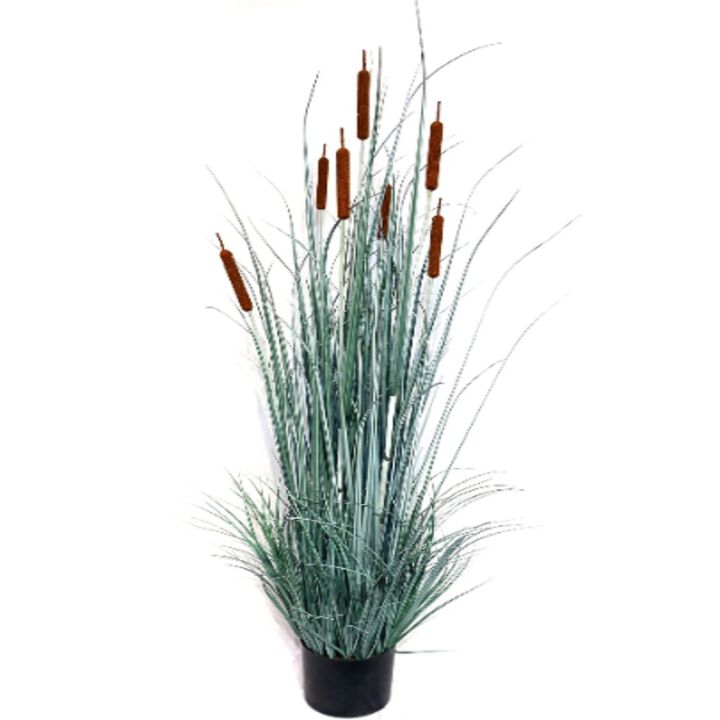 Cattail Grass Bush Artificial in Black Pot 5' Silk Fake Grass House Plant Indoor Outdoor Easily Add to More Ornate Pot Home Office Party