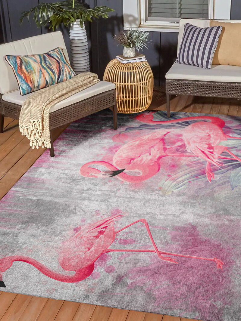 Tropics TC2 Collection