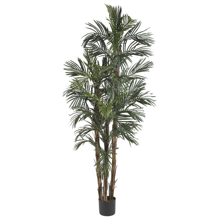 HomPlanti 6 Feet Robellini Palm Silk Tree