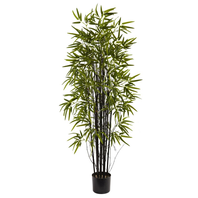 Hivvago 5 Feet Black Bamboo Tree