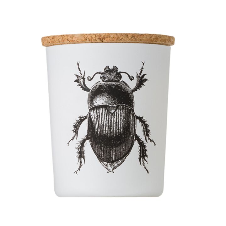 Candle in Jar INSECT 75gr SCARABEUS SACER 2.36 diam. x 2.95 in