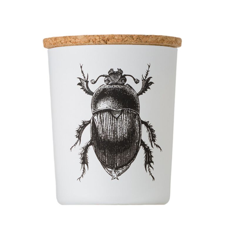 Candle in Jar INSECT 75gr SCARABEUS SACER 2.36 diam. x 2.95 in image number 1