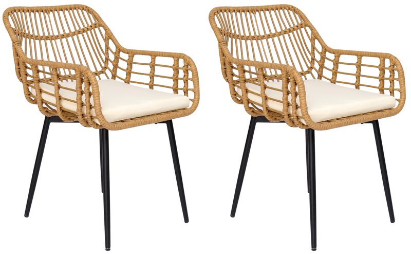 Set of 2 Chairs with Metal Legs
