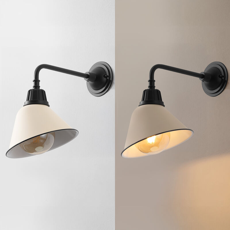 Croydon Farmhouse Industrial Indoor/Outdoor Iron LED Gooseneck Arm Outdoor Sconce