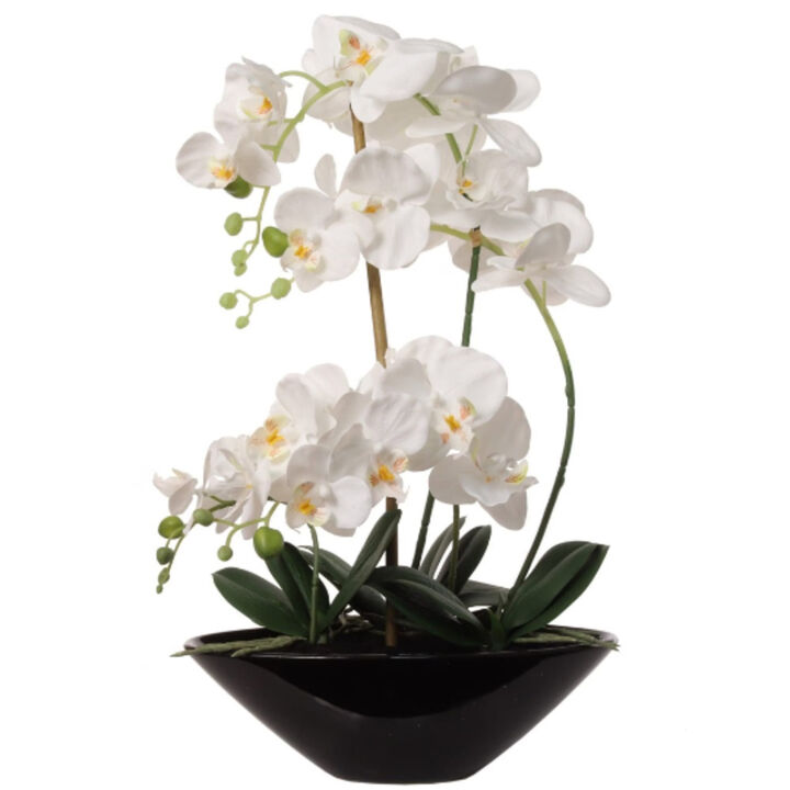 Artificial 21" Phalaenopsis Orchid in Black Vase - Lifelike Silk Flower Arrangement - Elegant Home Decor & Gift - Easy Maintenance