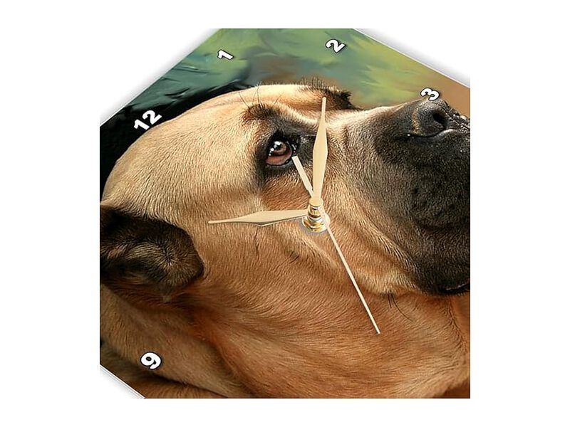 Cane Corso Wall Clock 10 Inch Home Decor image number 3